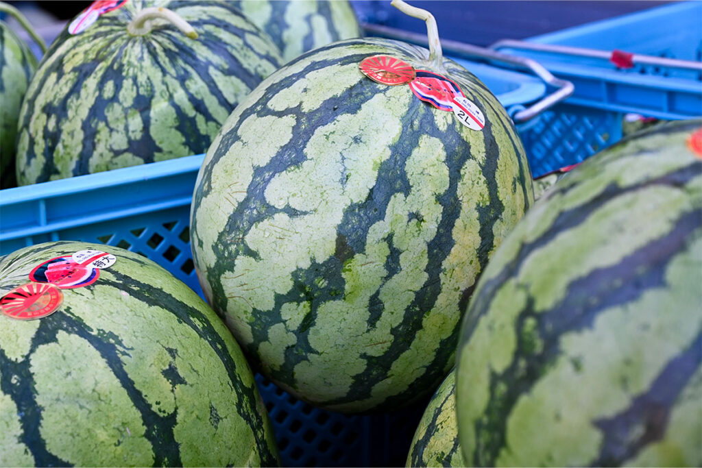 完熟すいか